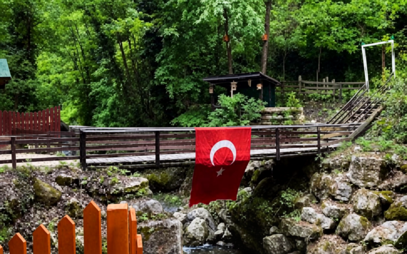 Yeşilin ve Serin Suların Buluşma Noktası: Çatalkaya Vadisi Mesire Alanı